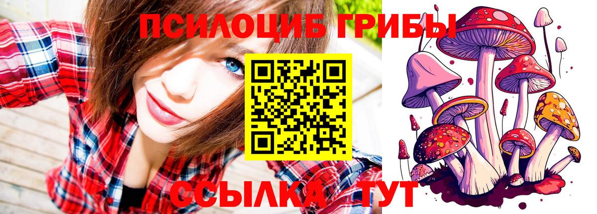 Псилоцибиновые грибы ЛСД  Вход с VPN  Калач-на-Дону 